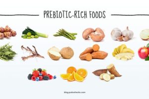 Prebiotics